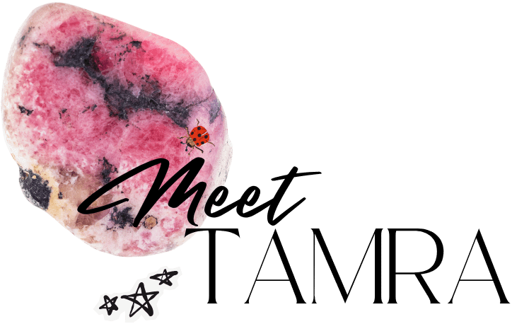tam_website_ladybug_crystal