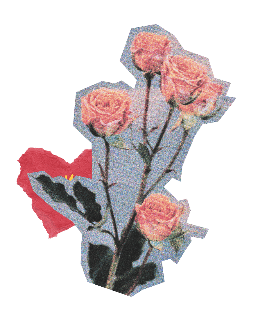 roses-transofmrations